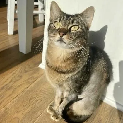 Speckles thumbnail 2