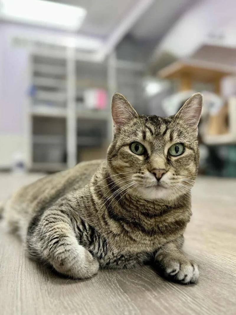 Saffie Rose thumbnail 2