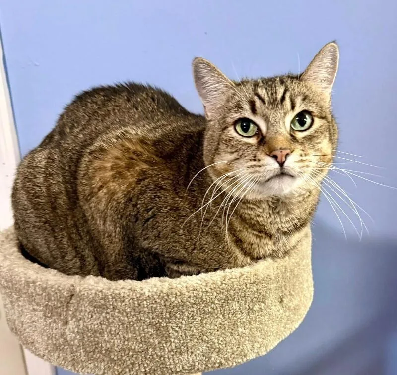 Saffie Rose thumbnail 4