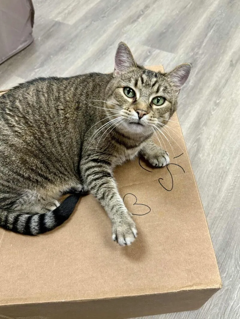 Saffie Rose thumbnail 6