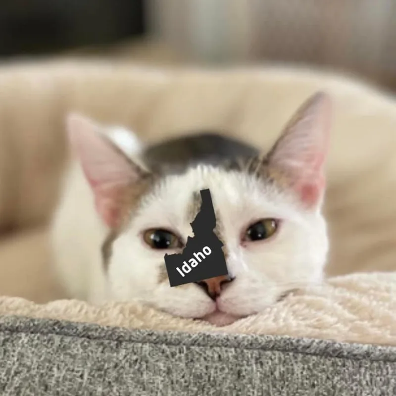 Penny Fka Penelope thumbnail 2