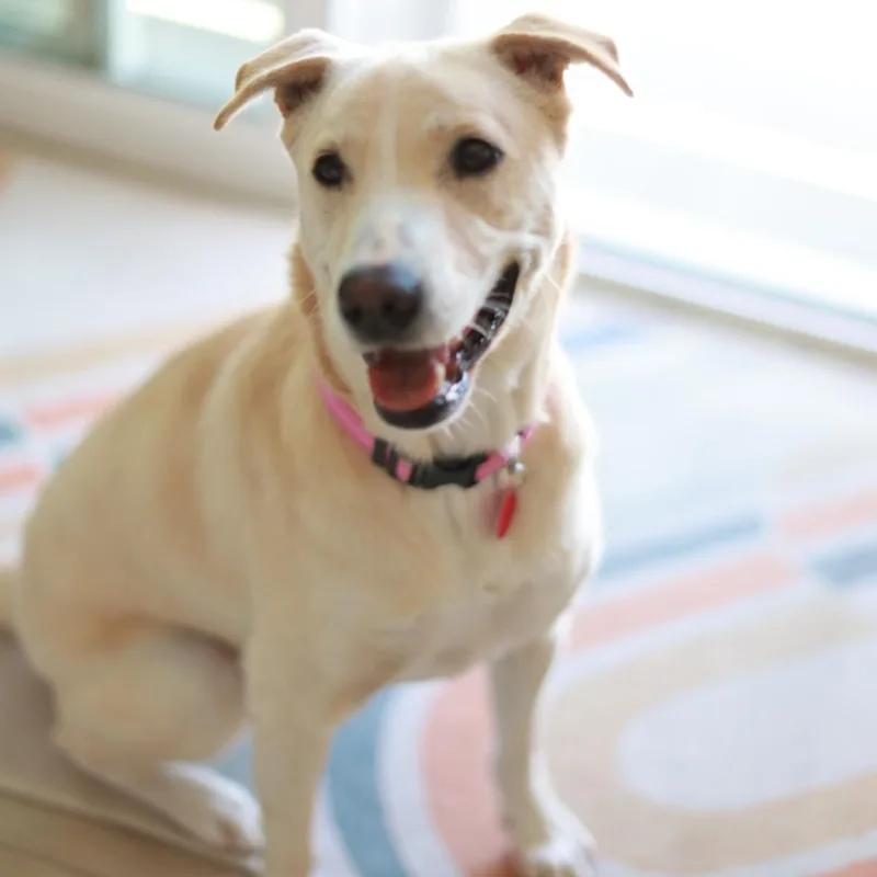 Gwen thumbnail 4