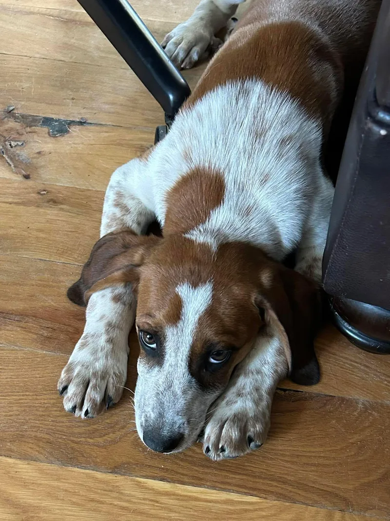 Wynona Judd thumbnail 2