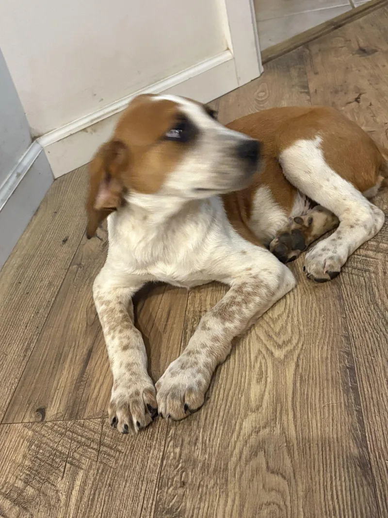 Wynona Judd thumbnail 3