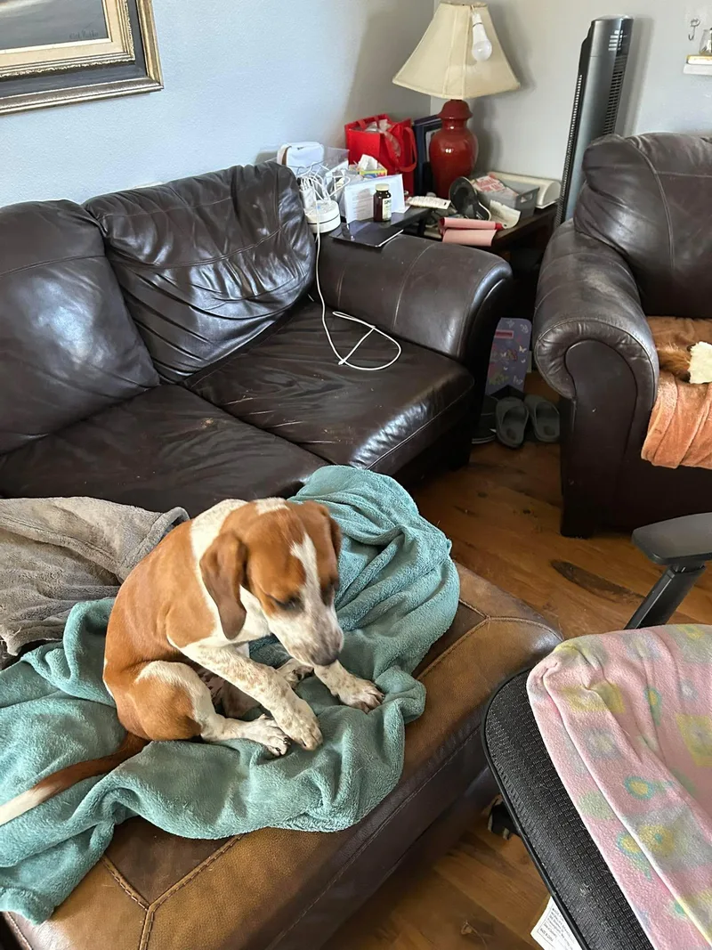 Wynona Judd thumbnail 4