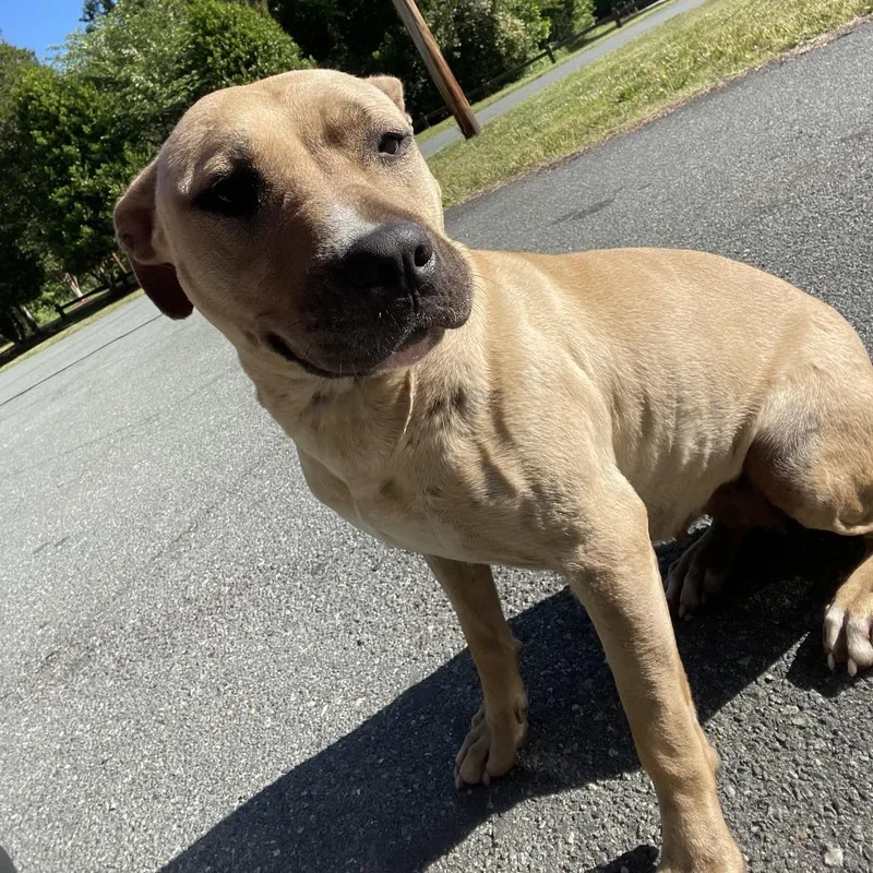 Sandy Girl