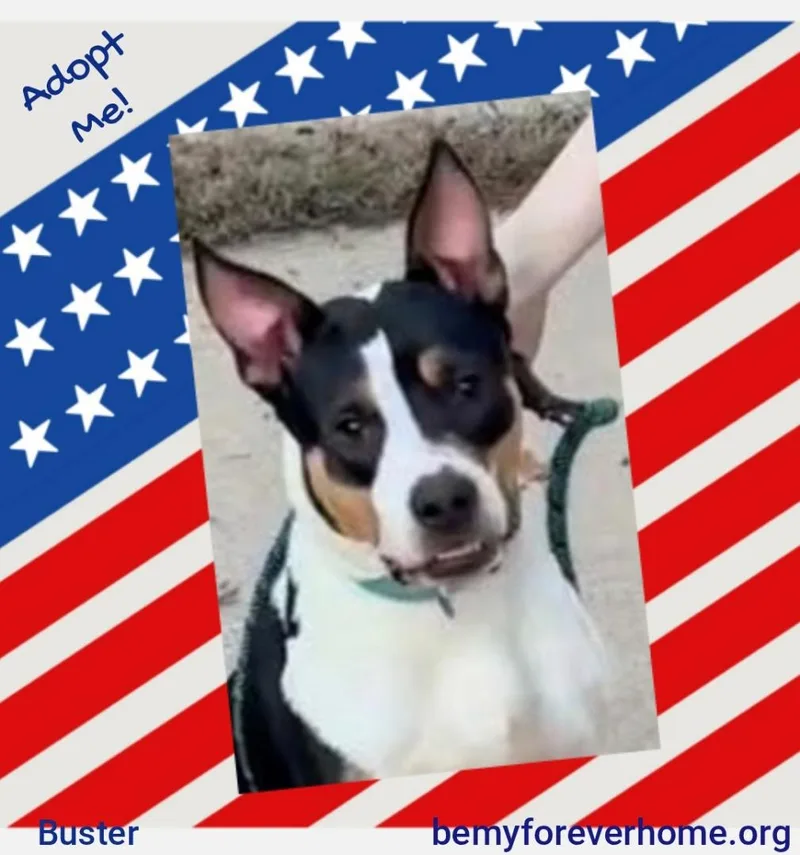 Buster