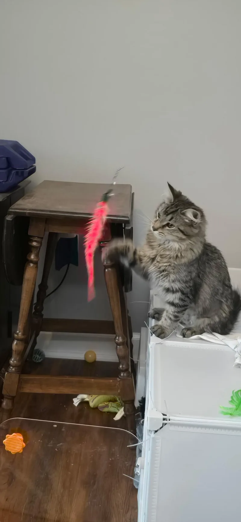 Squirt