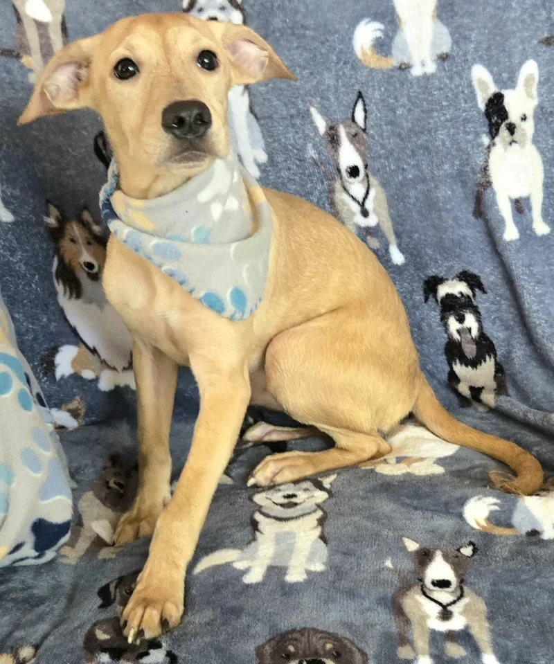 Tyler "i Will Love thumbnail 3