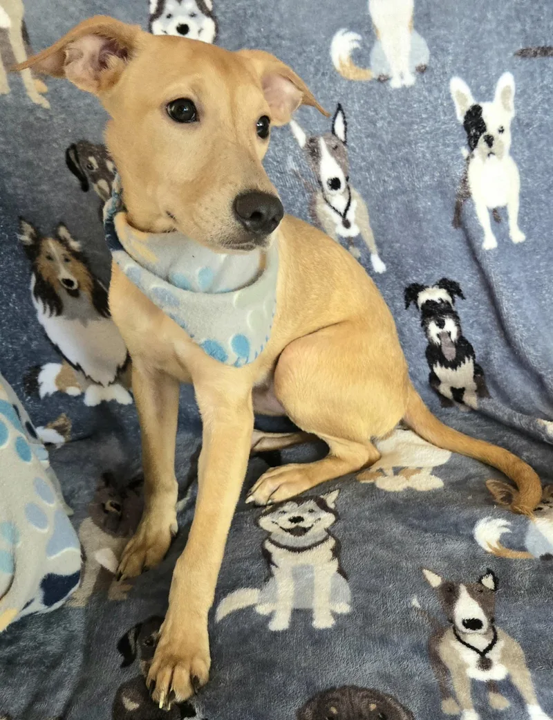 Tyler "i Will Love thumbnail 5