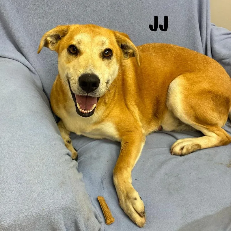 J. J. thumbnail 3