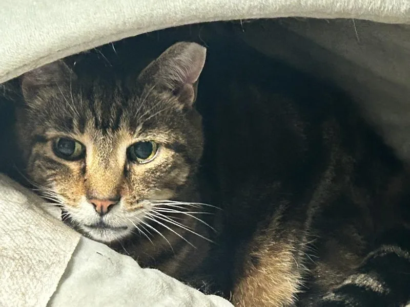 Hunter Hewlett thumbnail 2