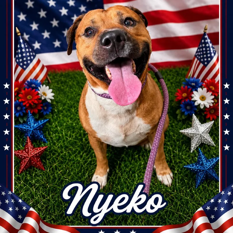 Nyeko thumbnail 4