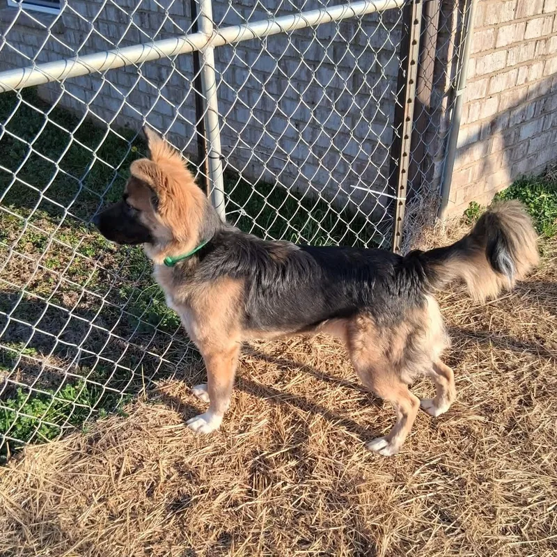 Sebastian thumbnail 2