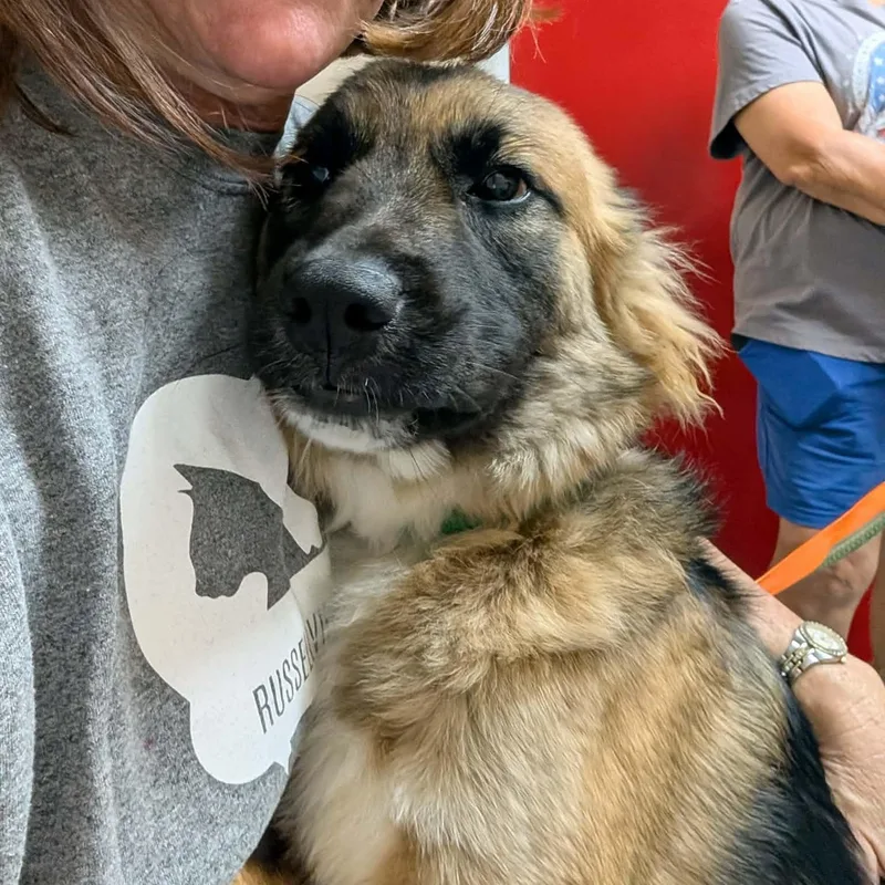 Sebastian thumbnail 4