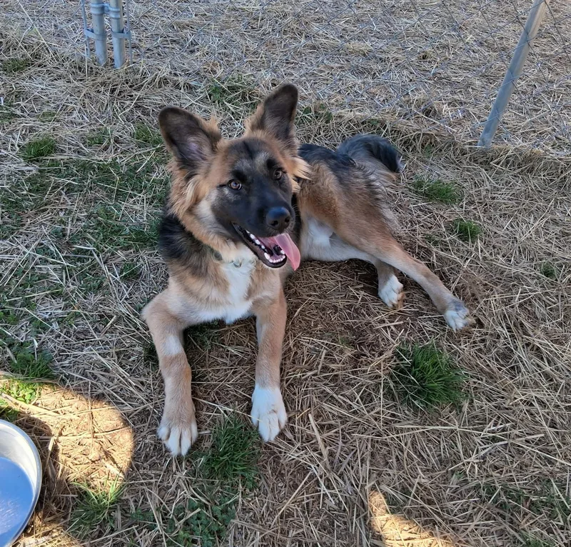 Sebastian thumbnail 5