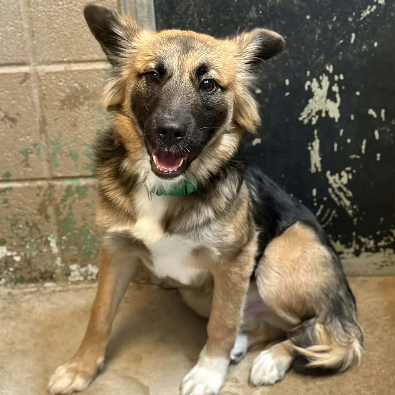 Sebastian thumbnail 6