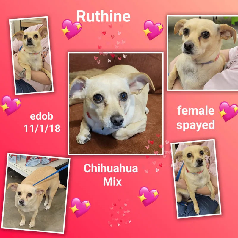 Ruthine ORThw thumbnail 5
