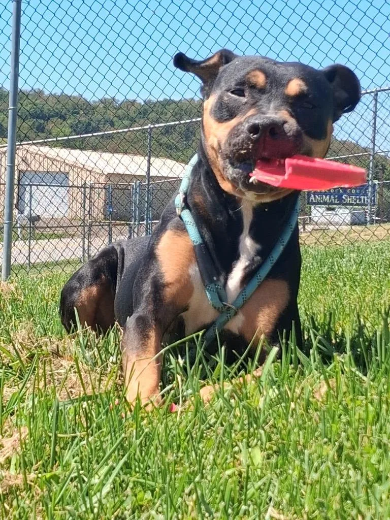 Freya