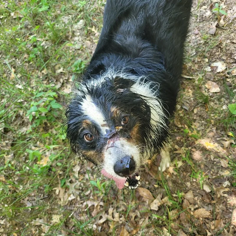 Maisey thumbnail 3