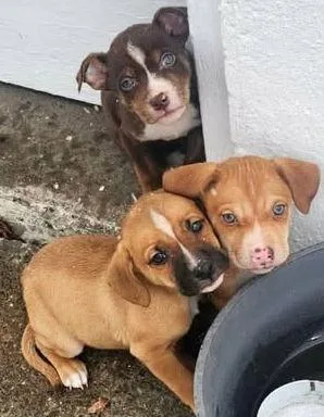 Hemingway thumbnail 2