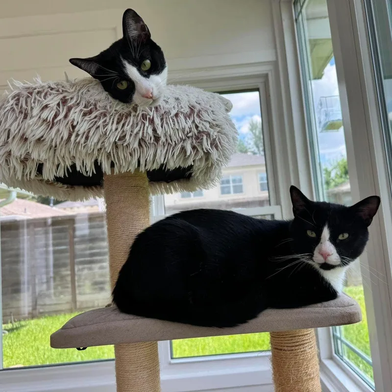 Pogo & Moo thumbnail 3