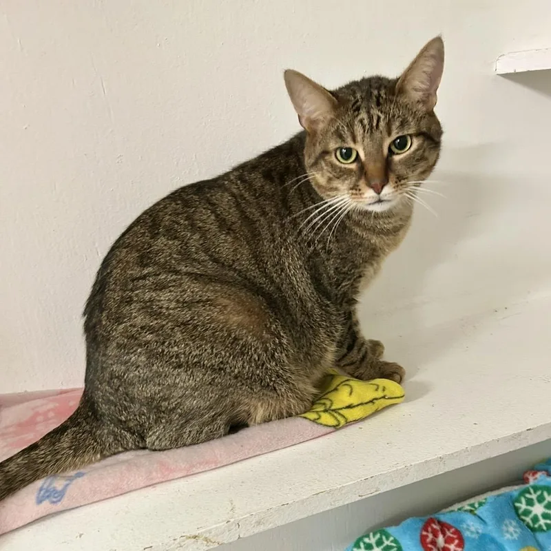 Gabby & Zane thumbnail 3