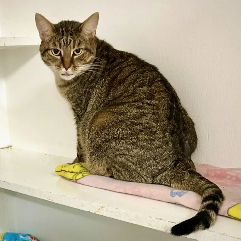 Gabby & Zane thumbnail 4