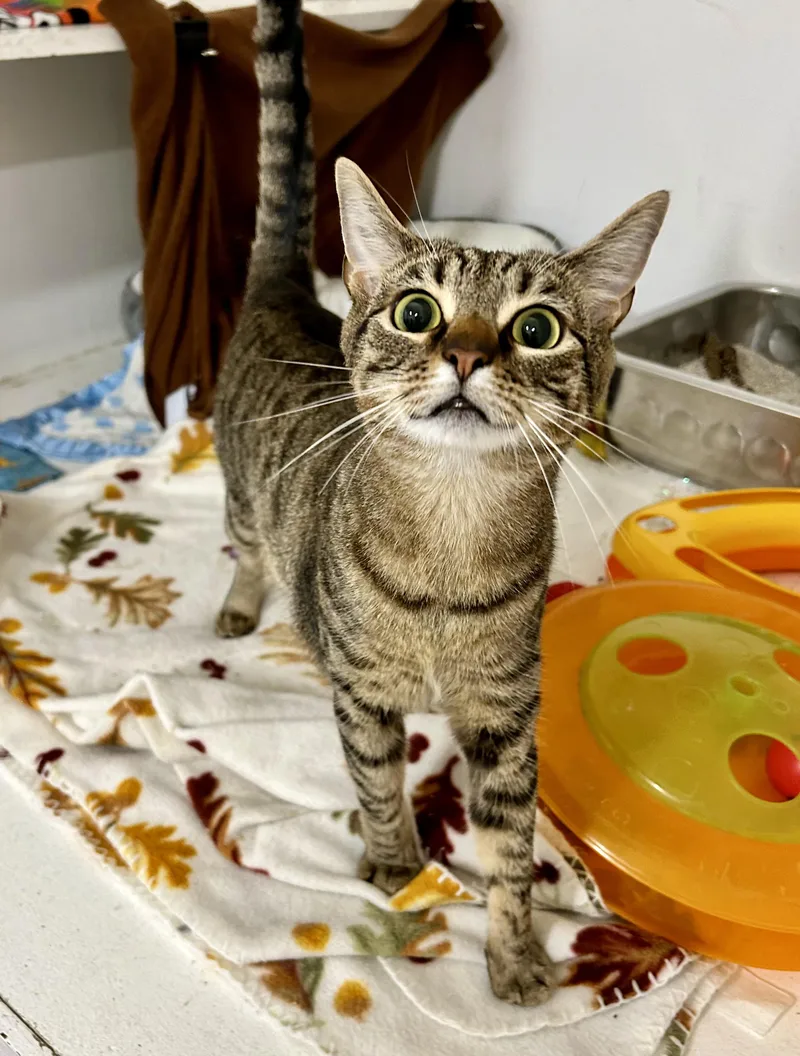 Gabby & Zane thumbnail 5