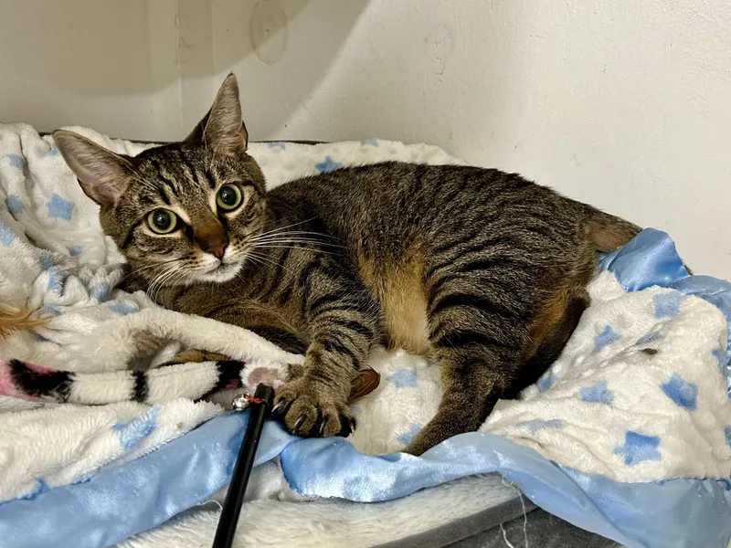 Gabby & Zane thumbnail 6