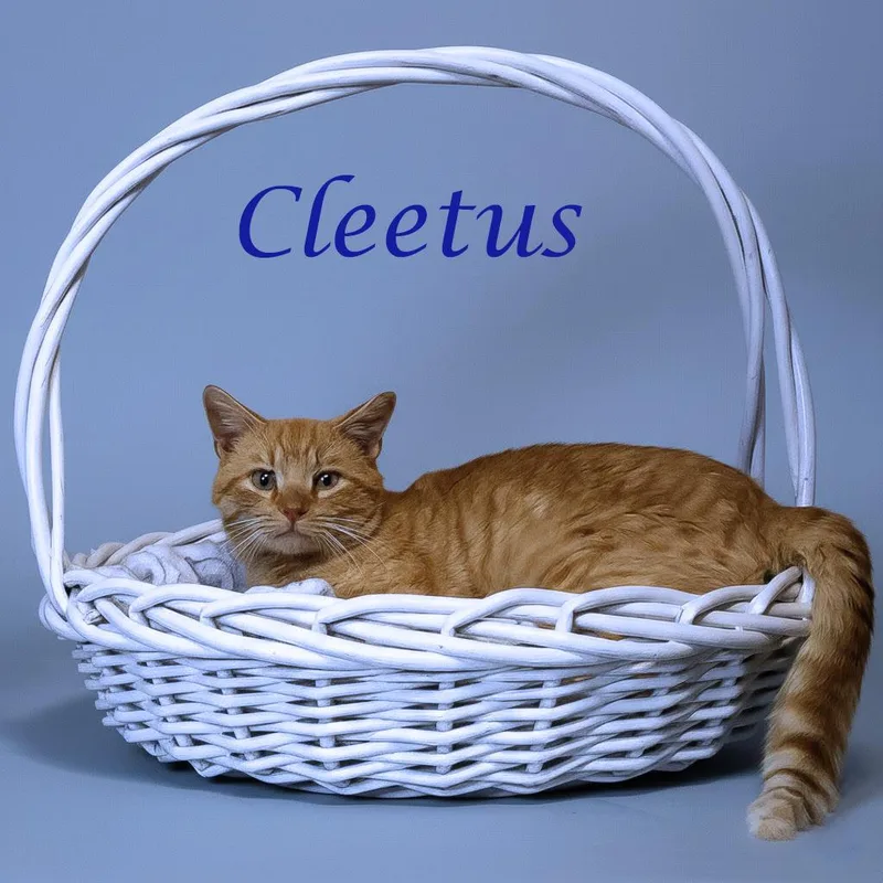 Cleetus C
