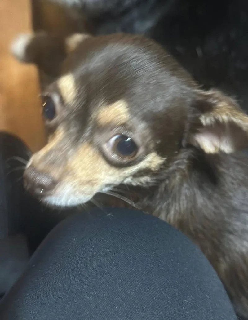 Meenie And Miney thumbnail 2