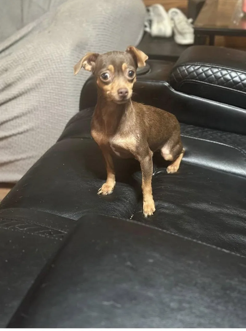 Meenie And Miney thumbnail 3