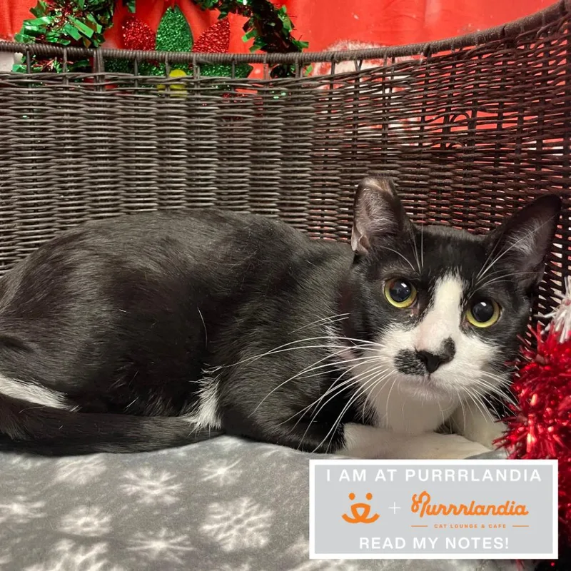 Calvin Klein thumbnail 2