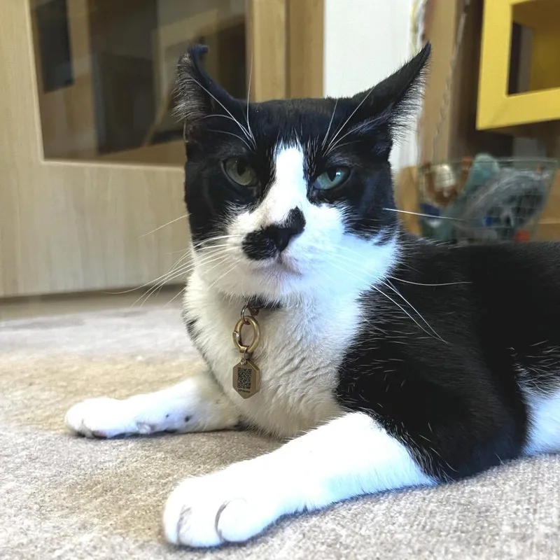 Calvin Klein thumbnail 3