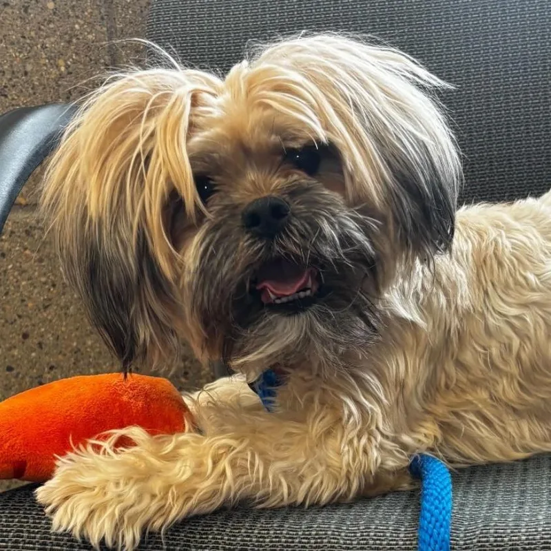 Fergie D thumbnail 3