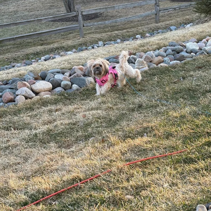 Fergie D thumbnail 4