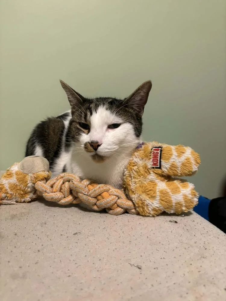 Toast Malone thumbnail 3