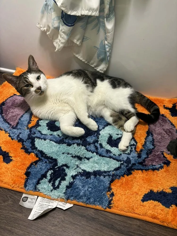 Toast Malone thumbnail 5