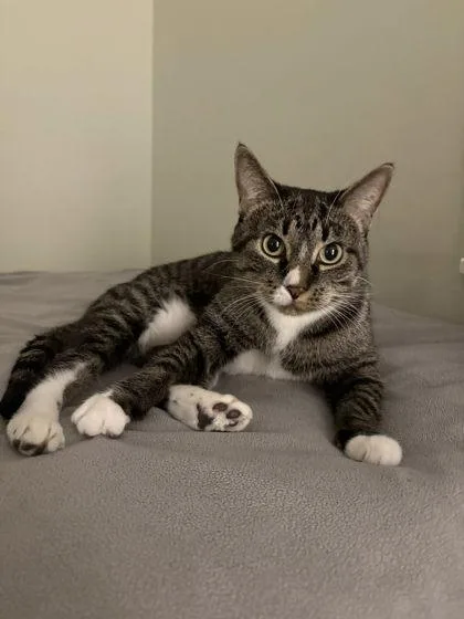 Honey Bunches thumbnail 2