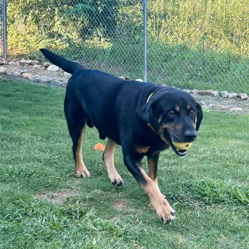 Sampson "Sam" thumbnail 2