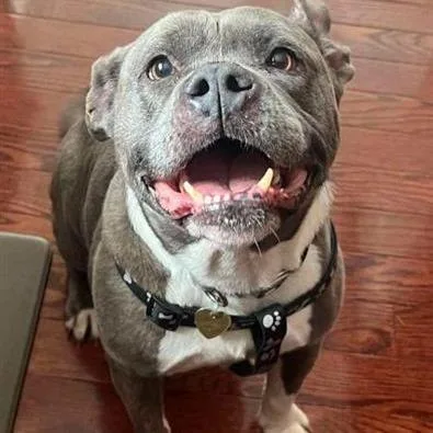 Penelope Ab thumbnail 2