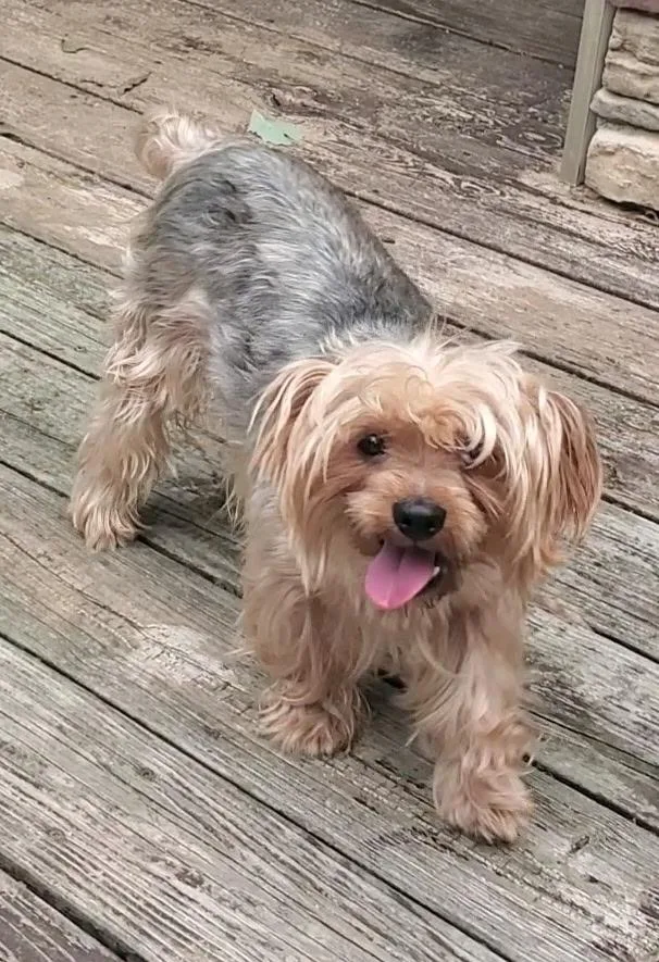 Milo