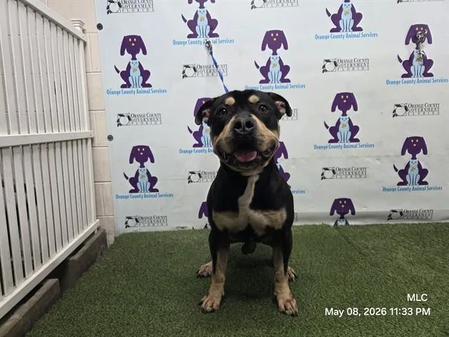 Zeus