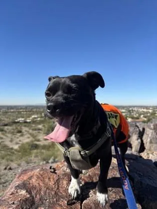 Constantine thumbnail 5