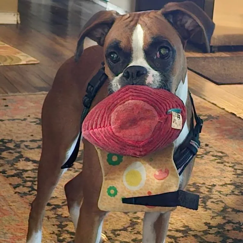 Libby Lou thumbnail 2