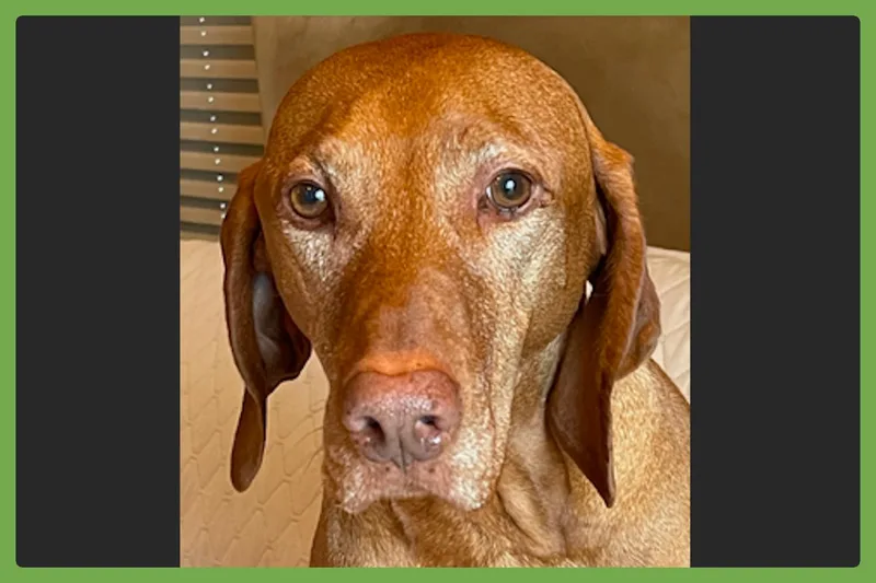 Harrison thumbnail 2