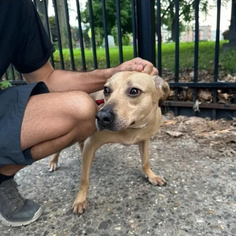 Mushie thumbnail 5
