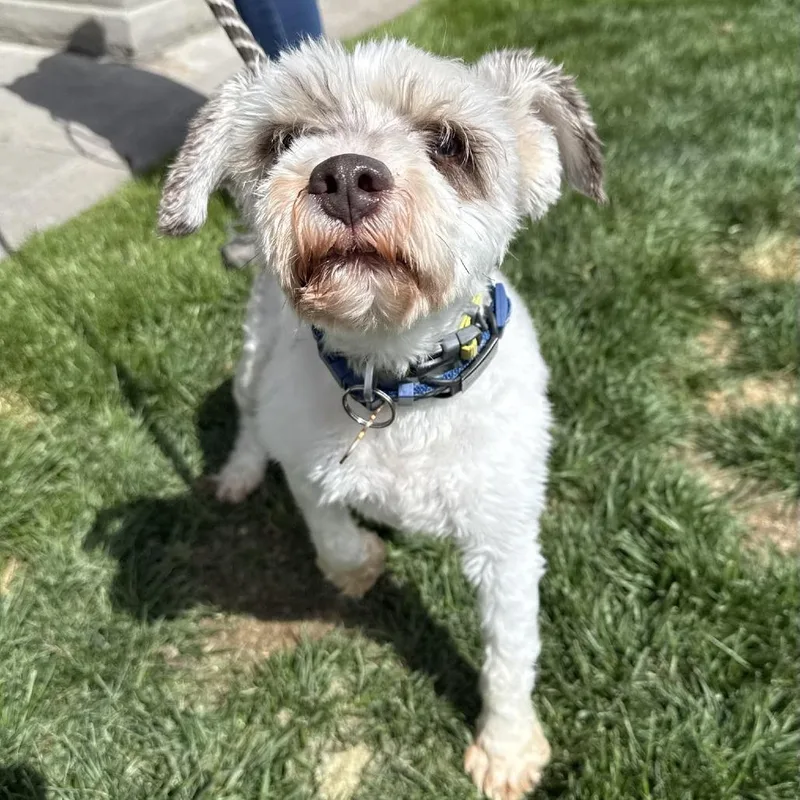 Franklin