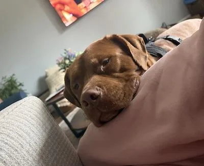 Frankie